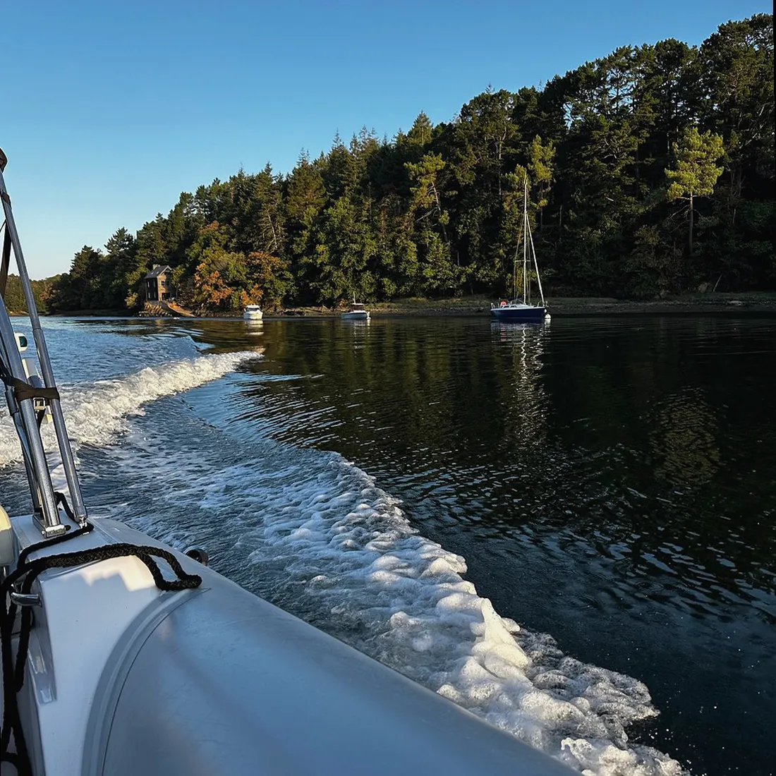 Barco disponible para alquiler en Combarro, Galicia